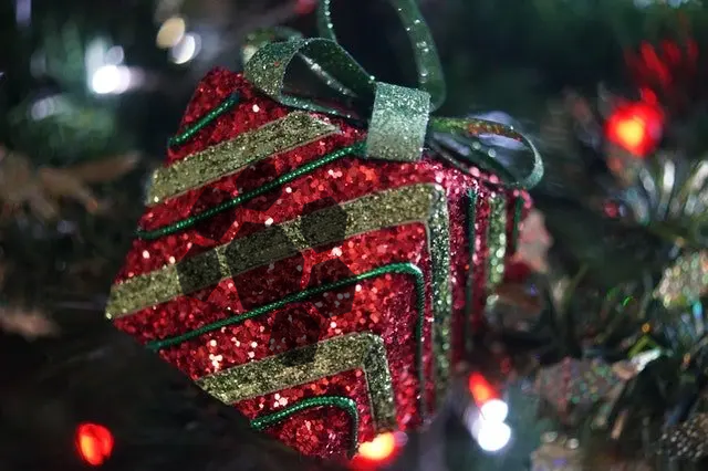 Present hanging from tree