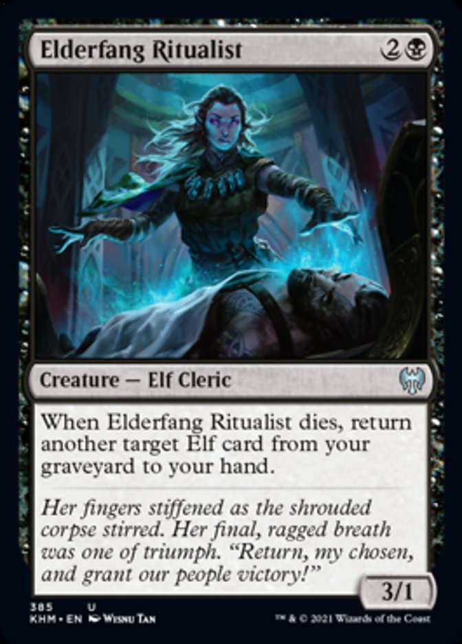 Elderfang Ritualist {2}{B}

Creature — Elf Cleric 3/1

When Elderfang Ritualist dies, return another target Elf card from your graveyard to your hand.