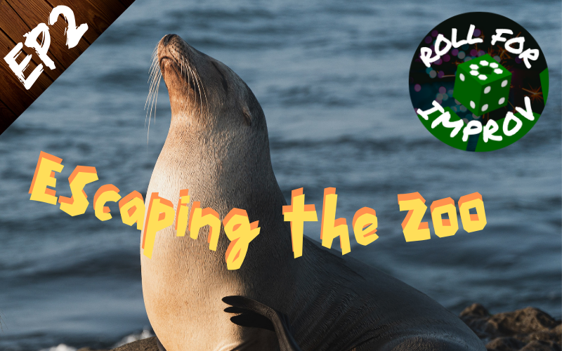 Escaping the Zoo: Alfie the Sea Lion