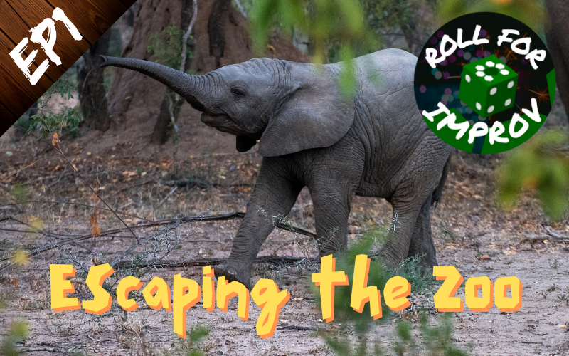 Escaping the Zoo: Nelson the Elephant