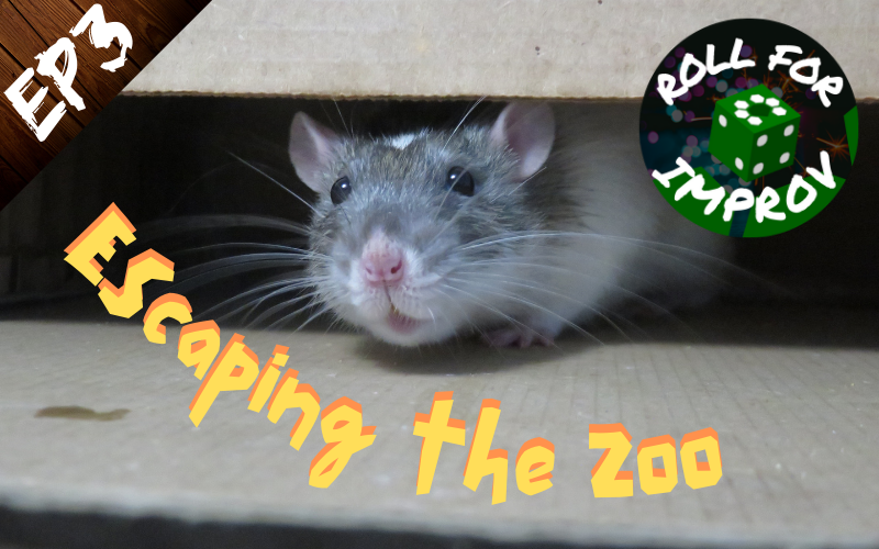 Escaping the Zoo: Shnishki the Rat
