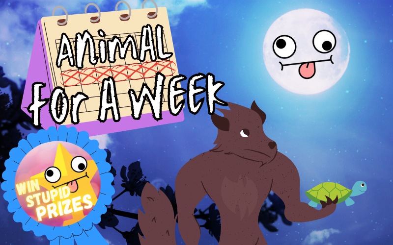 One animal, one week, every month.